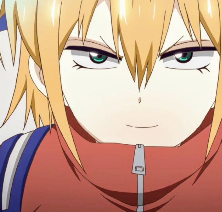 Mamoru Aikawa (Anime)