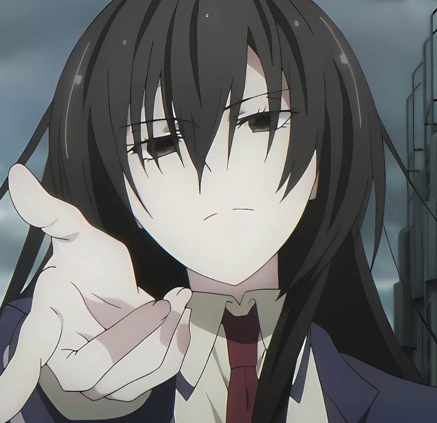 Mamoru Aikawa (Anime)