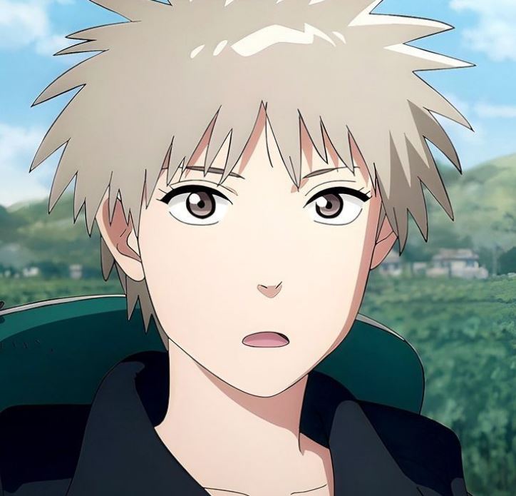 Mamoru Aikawa (Anime)