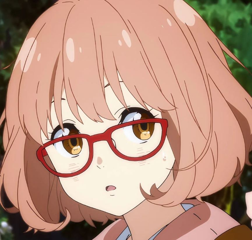 Mamoru Aikawa (Anime)