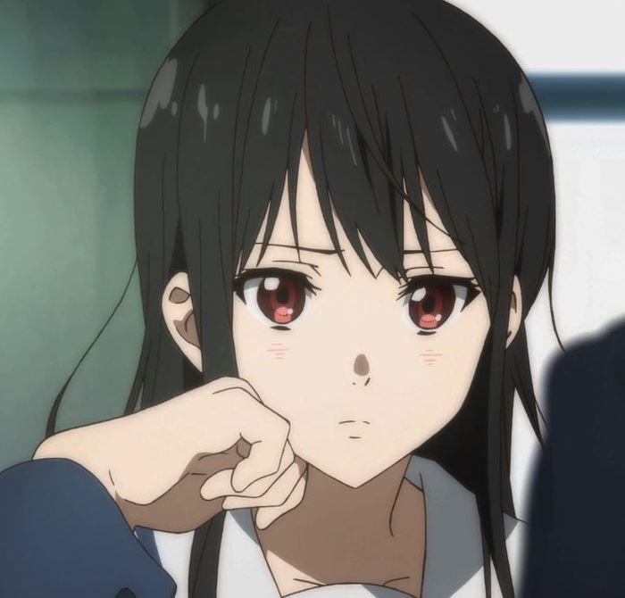 Mamoru Aikawa (Anime)