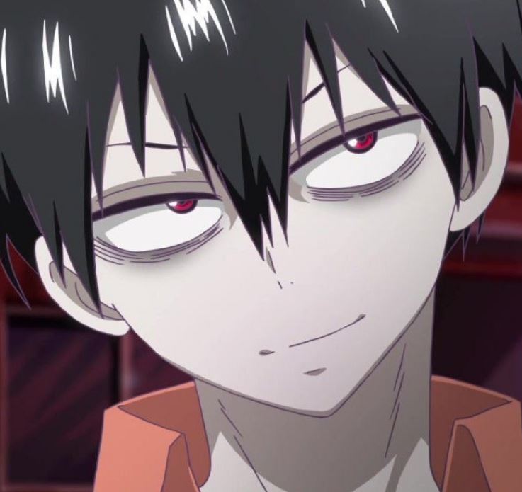 Mamoru Aikawa (Anime)