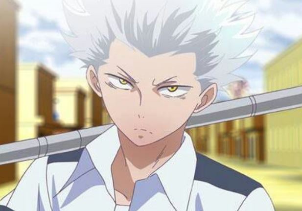 Mamoru Aikawa (Anime)