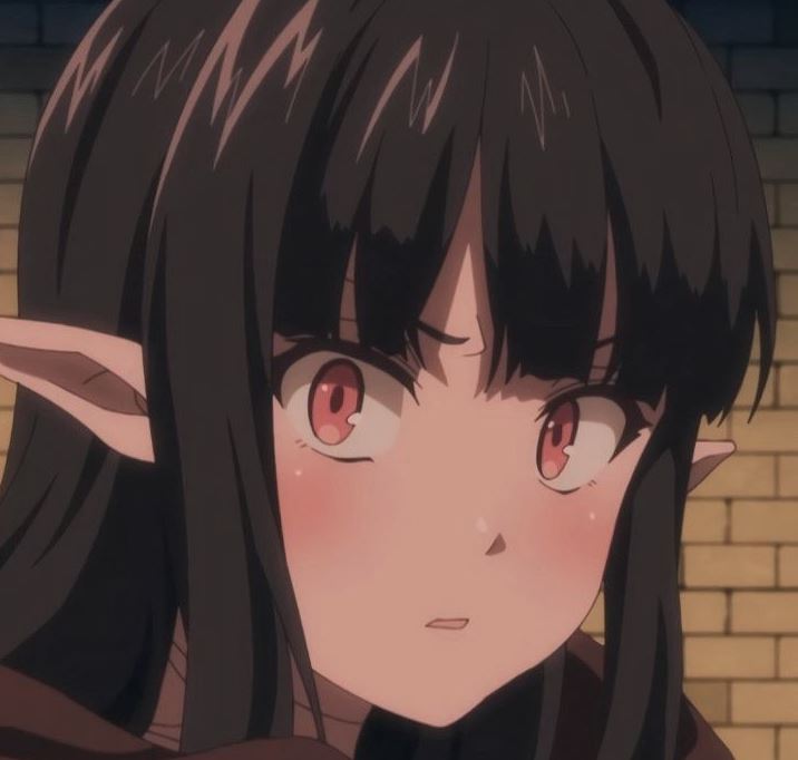 Mamoru Aikawa (Anime)