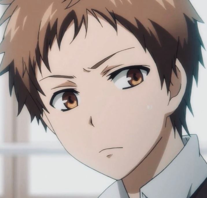 Mamoru Aikawa (Anime)